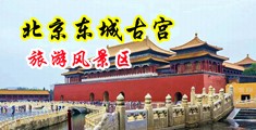 美女被内射墙上爆插中国北京-东城古宫旅游风景区